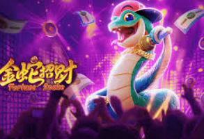 星空全站2024最新版